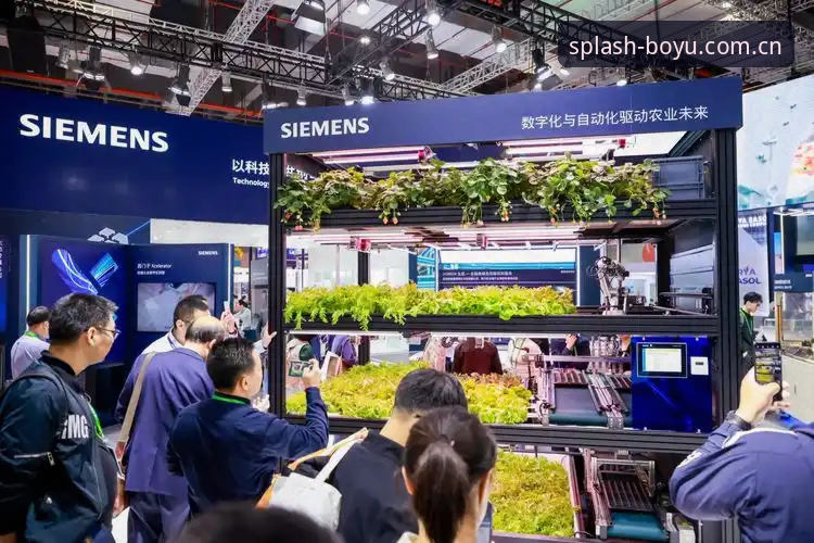 博鱼体育平台创新体验详解——从网页版到APP的全新探索
